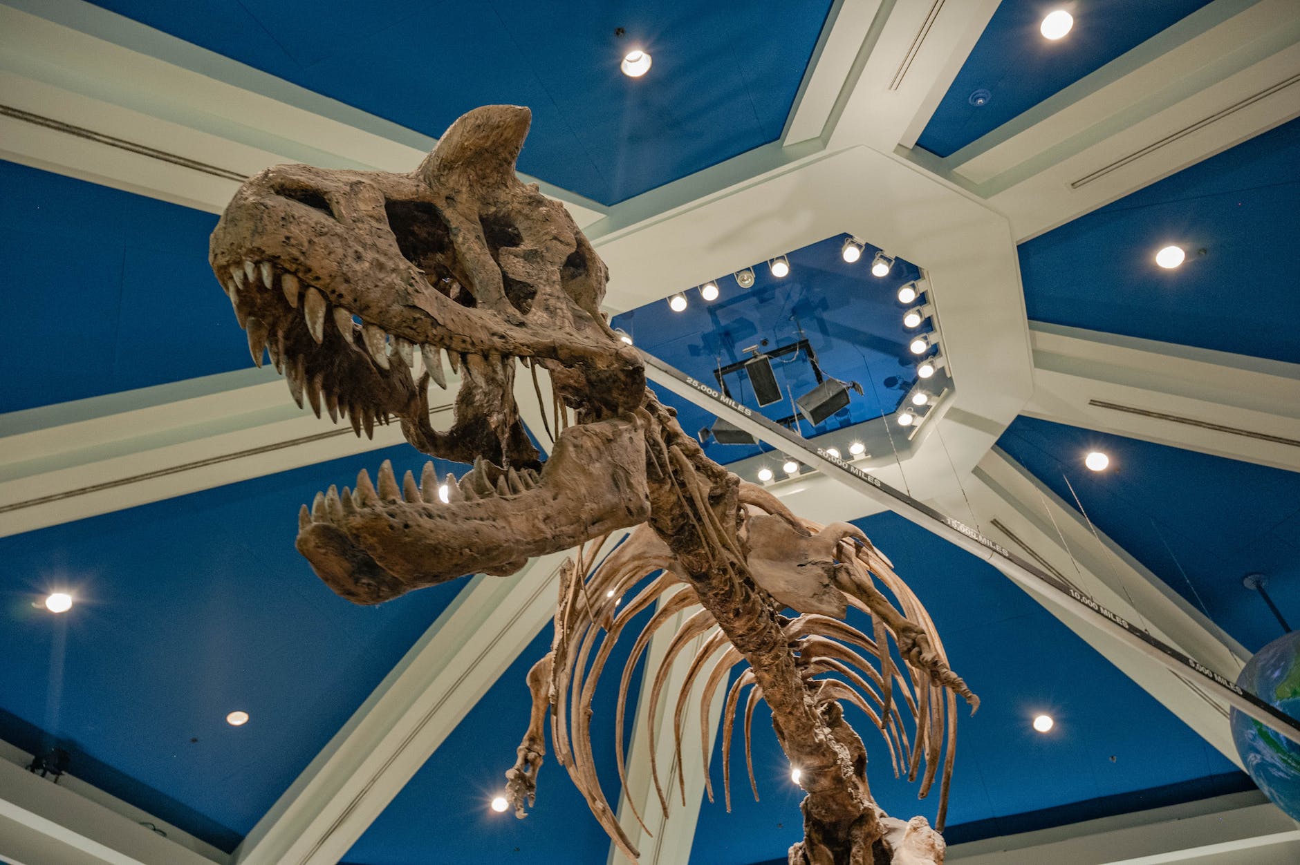 Jurassic AI: Using Artificial Intelligence to Bring Extinct Species Back to Life